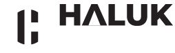 haluk grup web logosu w3 01 01
